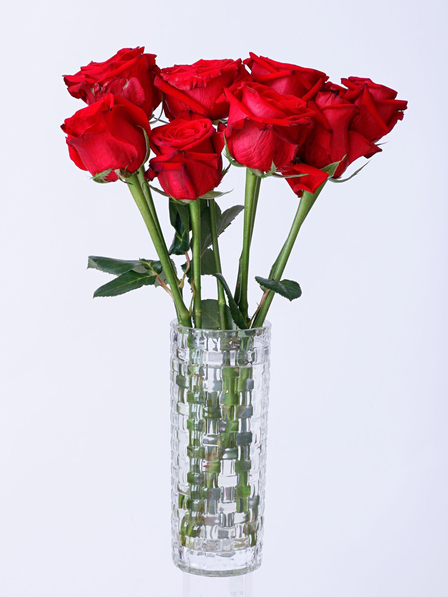 Elegant Red & White Roses Vase Arrangement | Luxury Rose Harmony