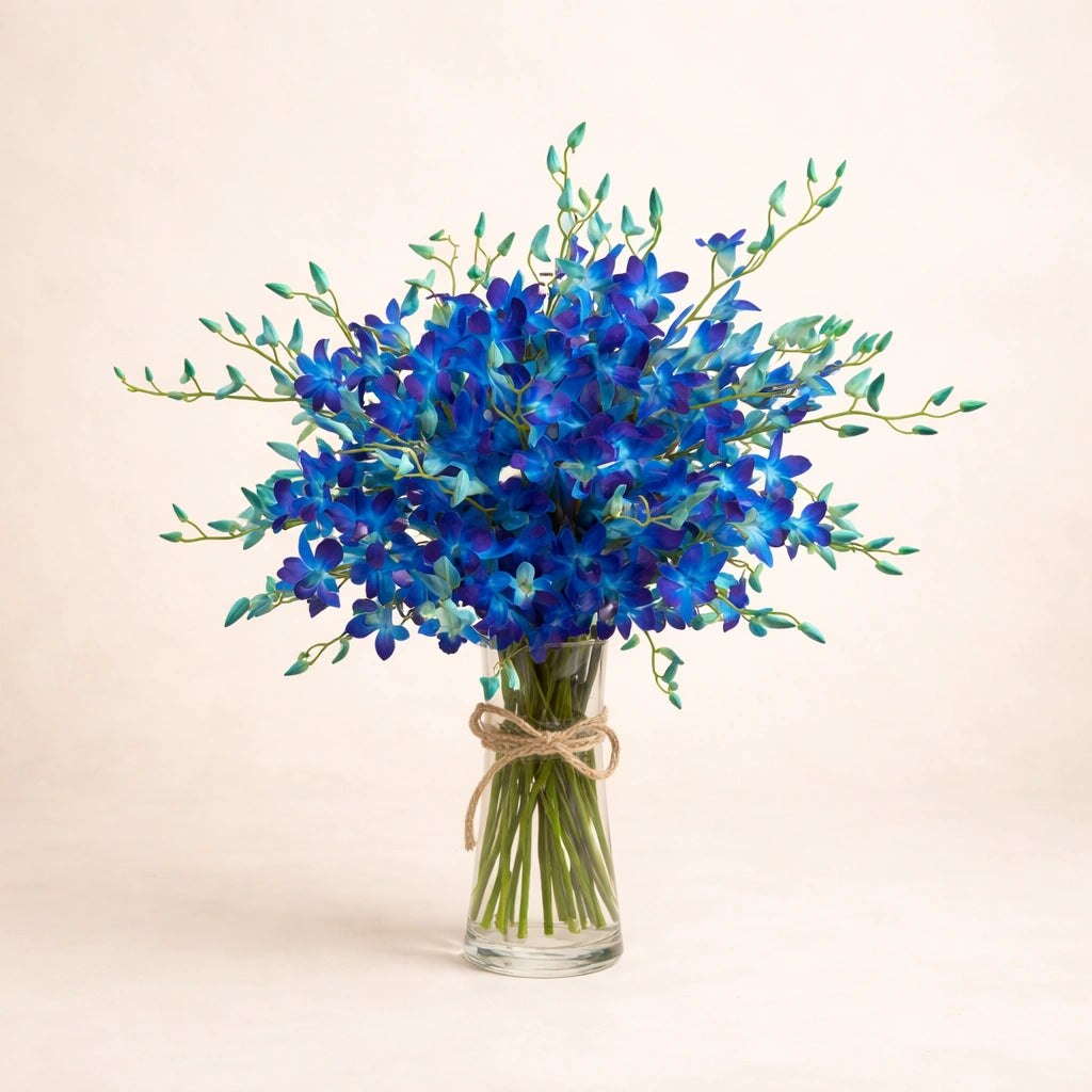 تنسيق زهور الأوركيد الأزرق الملكي في مزهرية