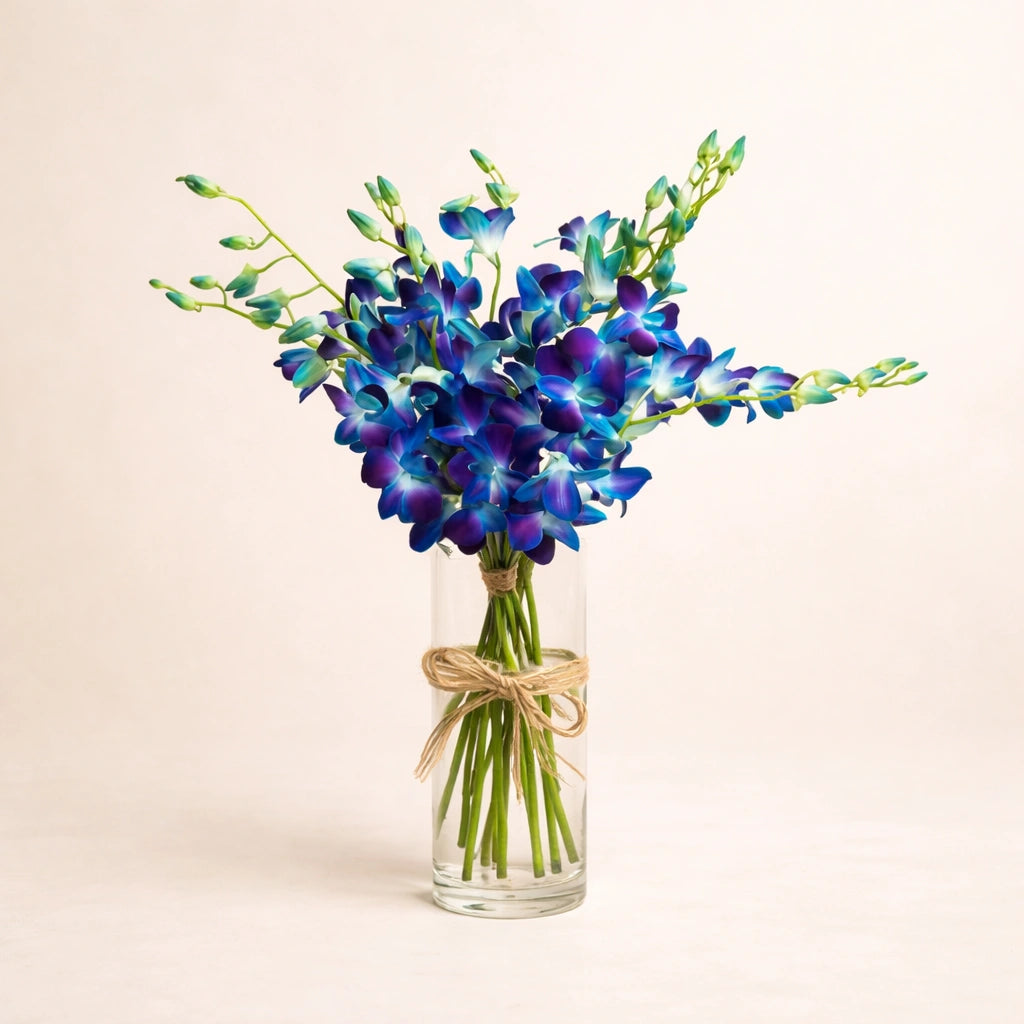 تنسيق زهور الأوركيد الأزرق الملكي في مزهرية